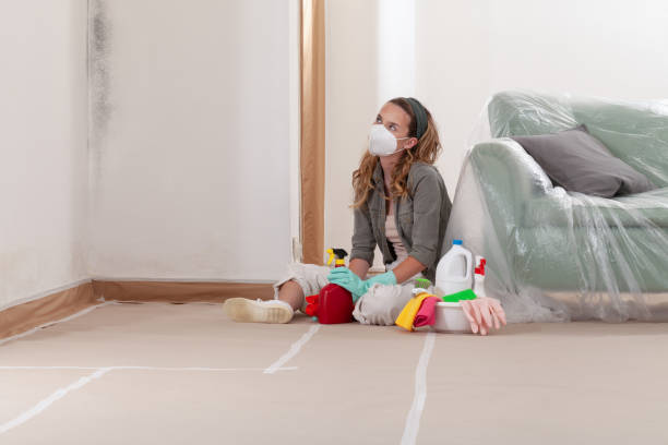Reliable Mold Testing contractor in Silver Spring, MD by WQB Mold Removal